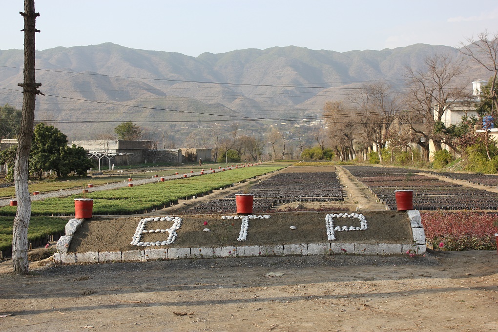 The Billion Tree Project's Government Nursery in Haripur - Photo Credits - Asim Ali