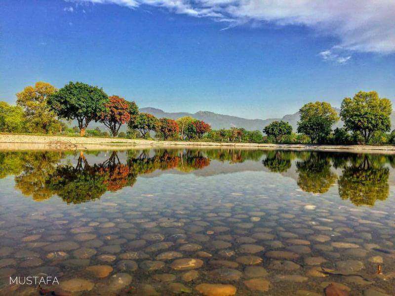 14 - Pond in Fatima Jinnah Park Islamabad - Photo Credits - Mustafa