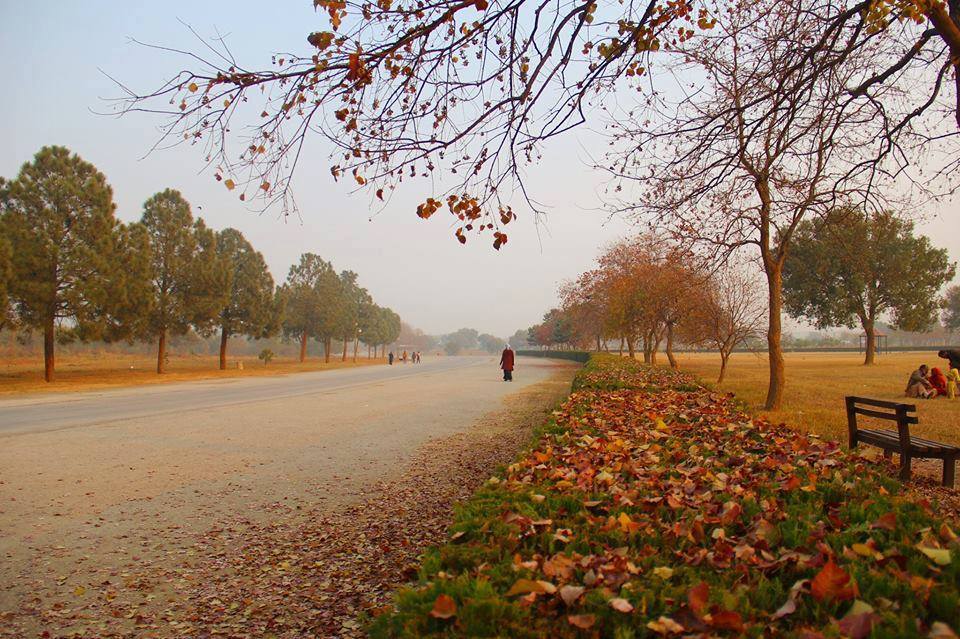 3 - Fatima Jinnah Park Autumn