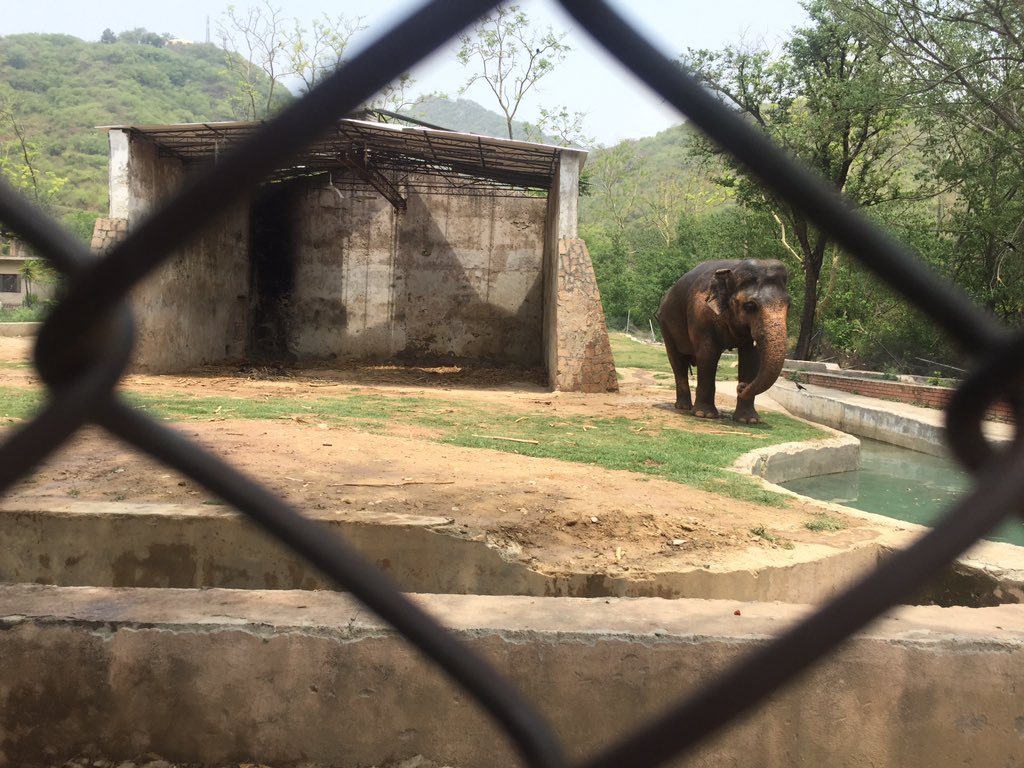 Islamabad Zoo