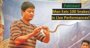 Pakistan Snake Eater
