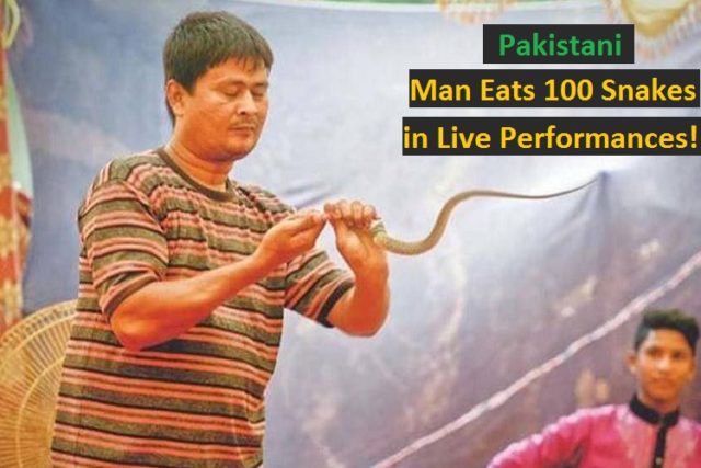 Pakistan Snake Eater